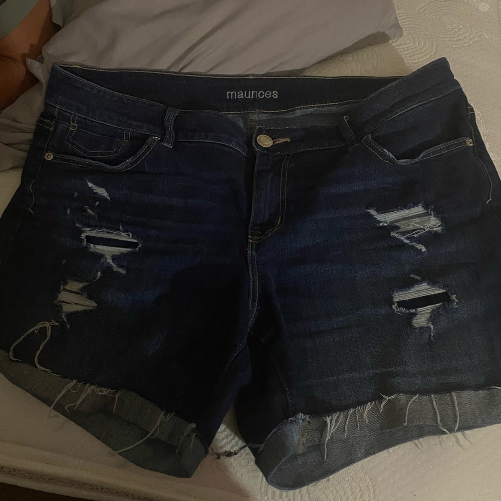 Maurices Shorts